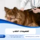 تطعيمات الكلاب