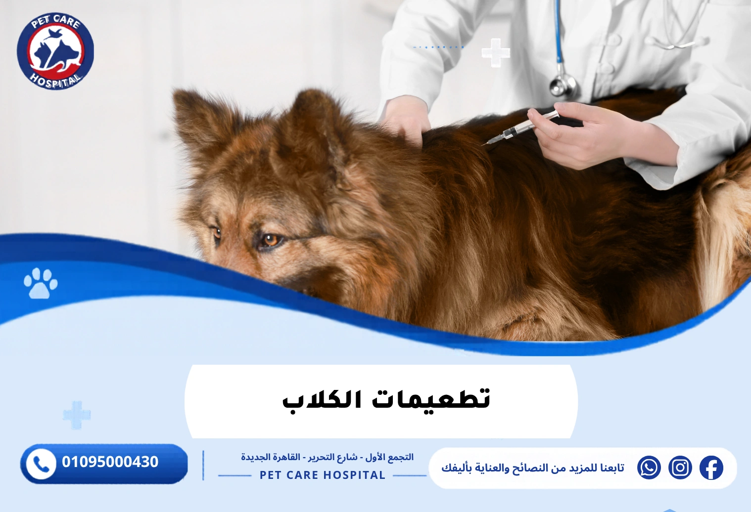 تطعيمات الكلاب
