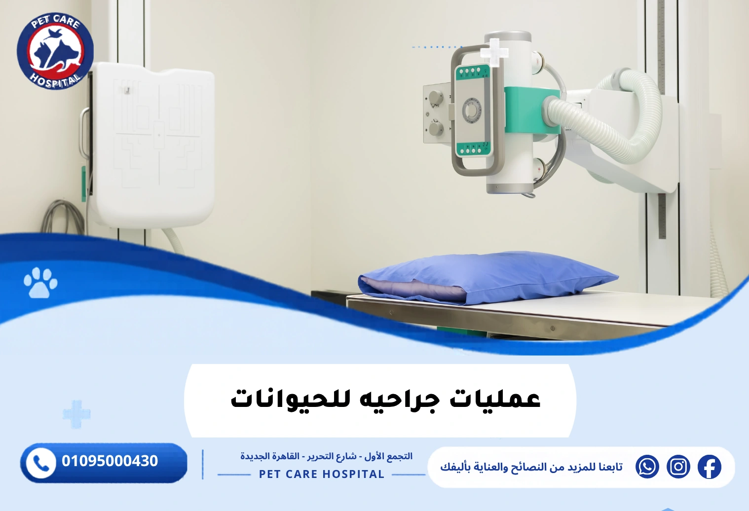عمليات جراحيه للحيوانات