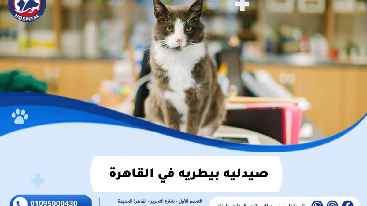صيدليه بيطريه في القاهرة