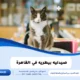 صيدليه بيطريه في القاهرة