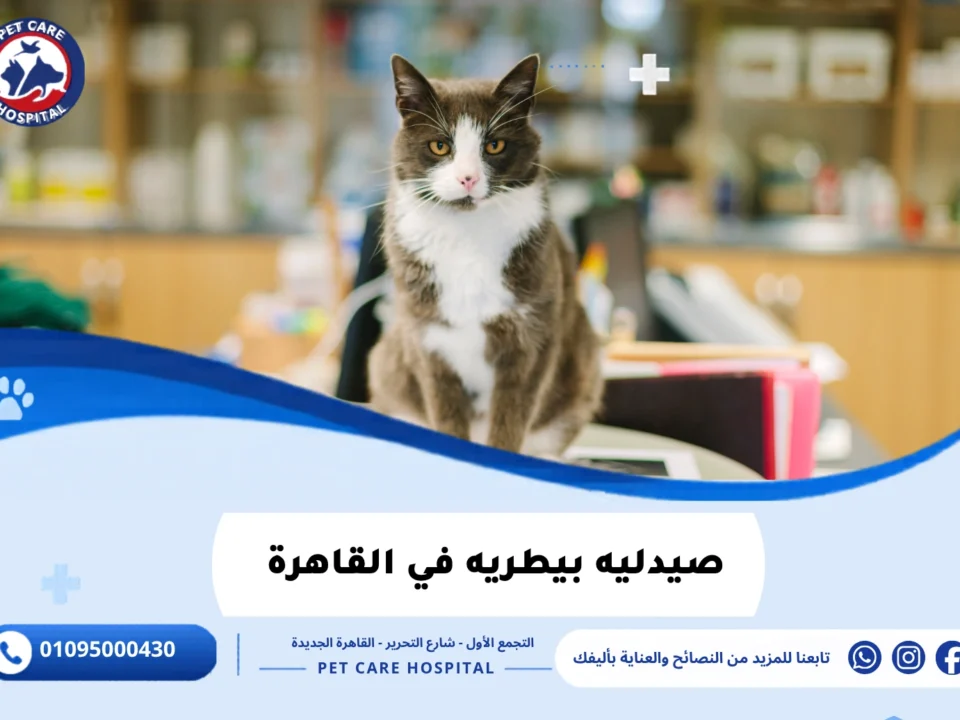 صيدليه بيطريه في القاهرة