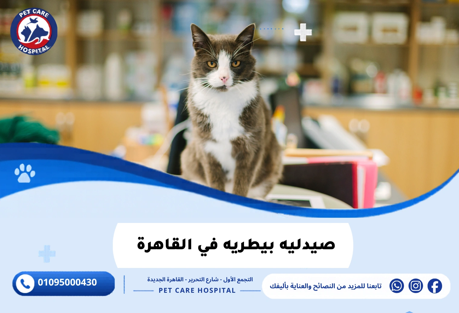 صيدليه بيطريه في القاهرة