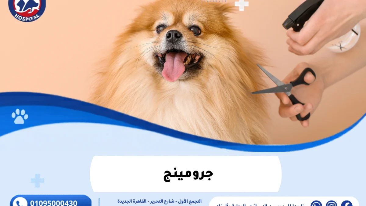 جرومينج