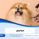 جرومينج