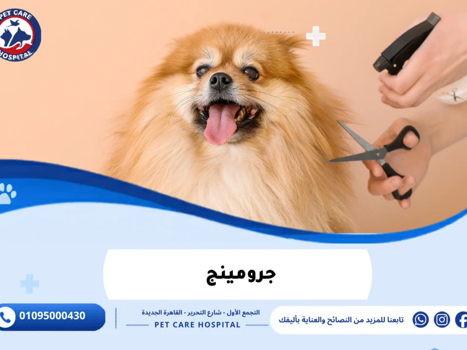 جرومينج