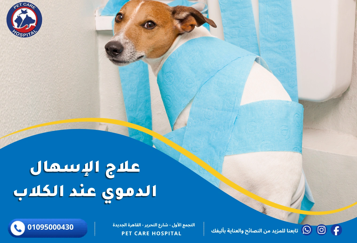 علاج الإسهال الدموي عند الكلاب