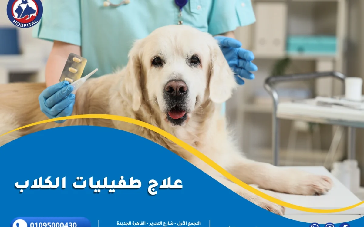 علاج طفيليات الكلاب