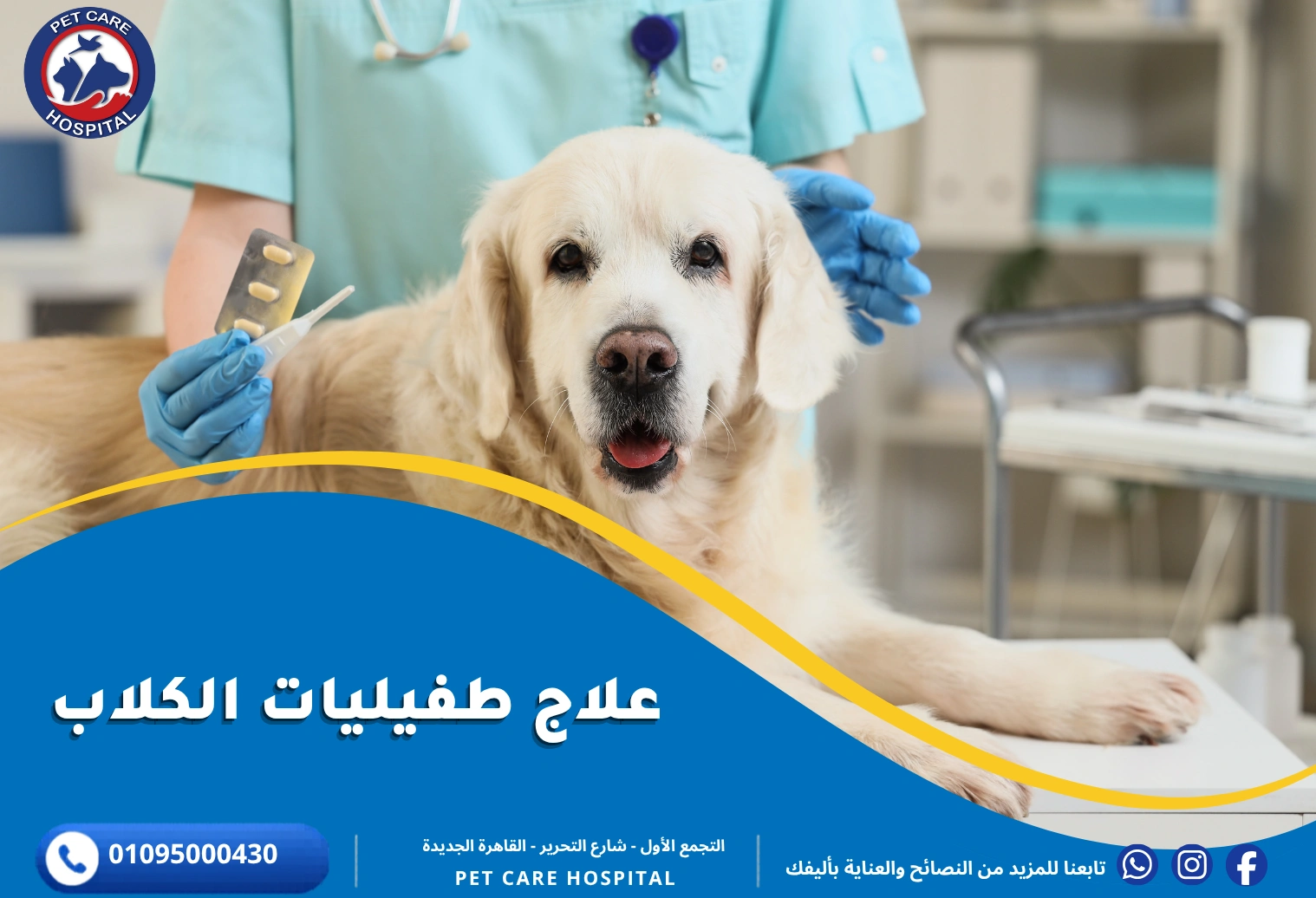 علاج طفيليات الكلاب