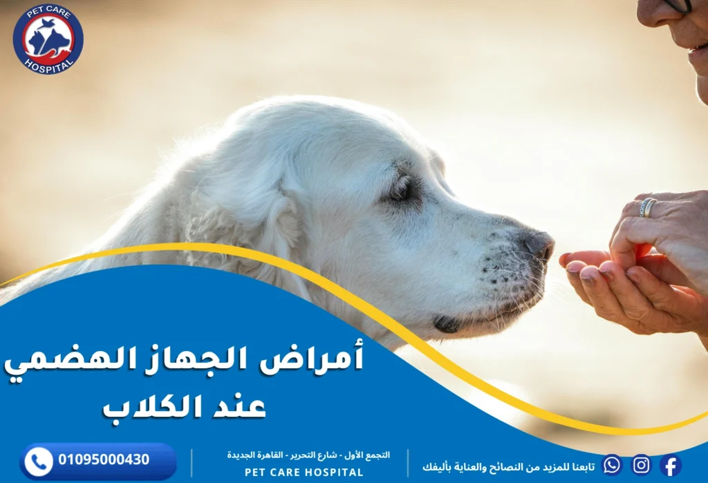 دليل أمراض الجهاز الهضمي عند الكلاب