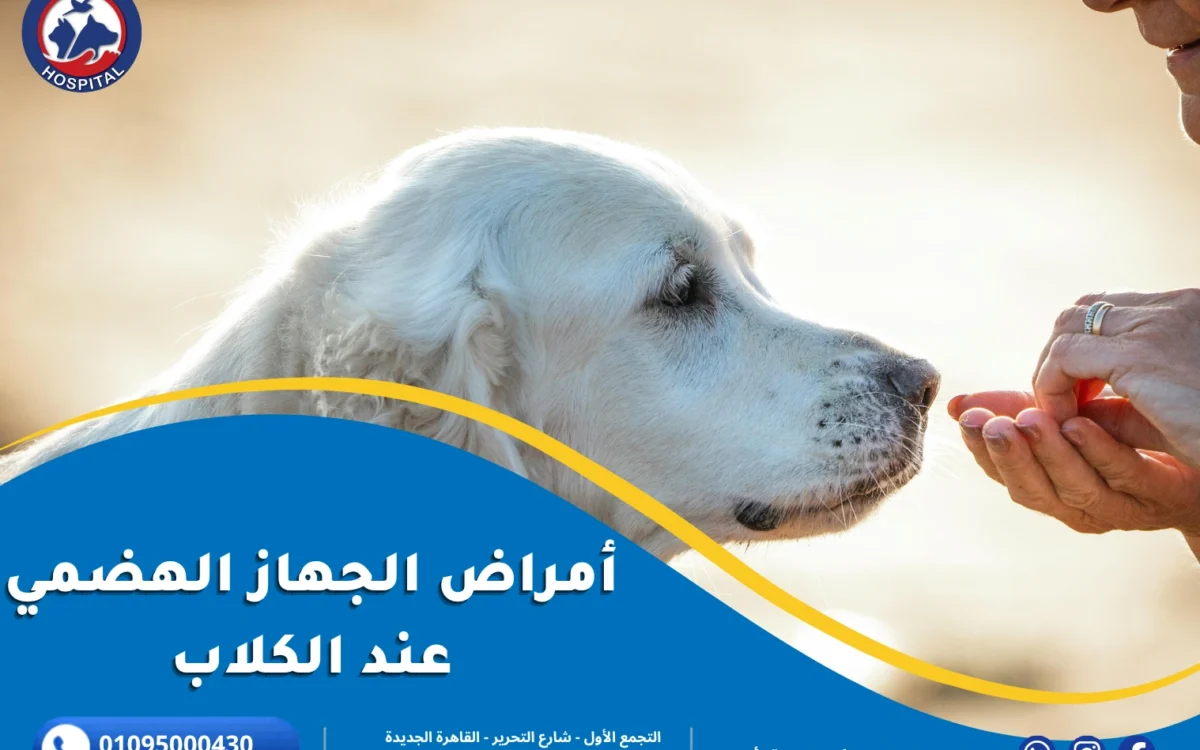 دليل أمراض الجهاز الهضمي عند الكلاب