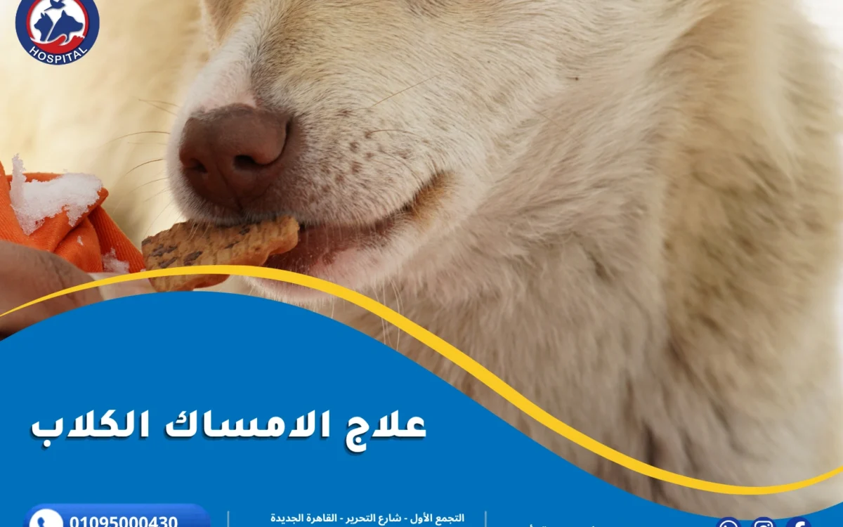 علاج الامساك عند الكلاب