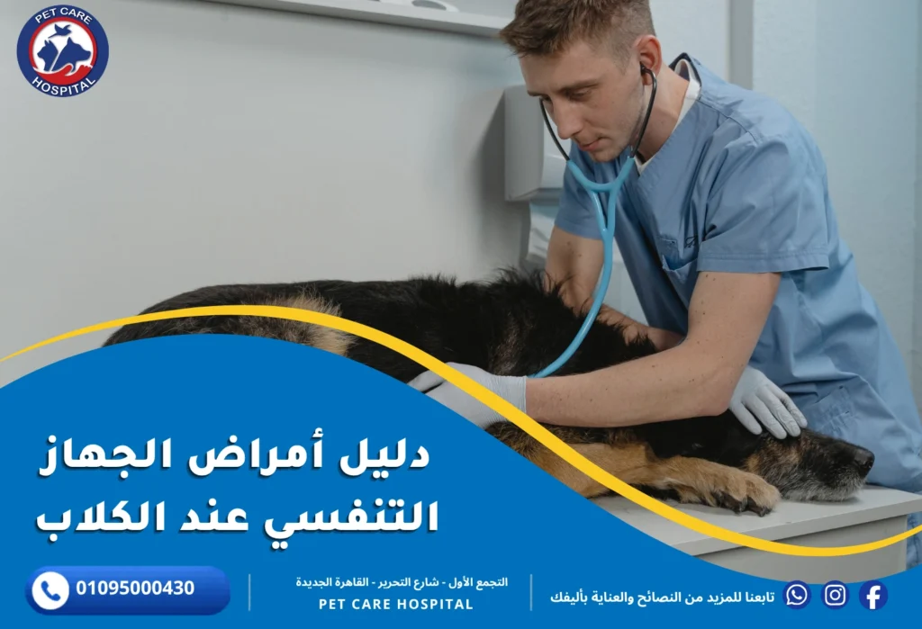 أمراض الجهاز التنفسي عند الكلاب