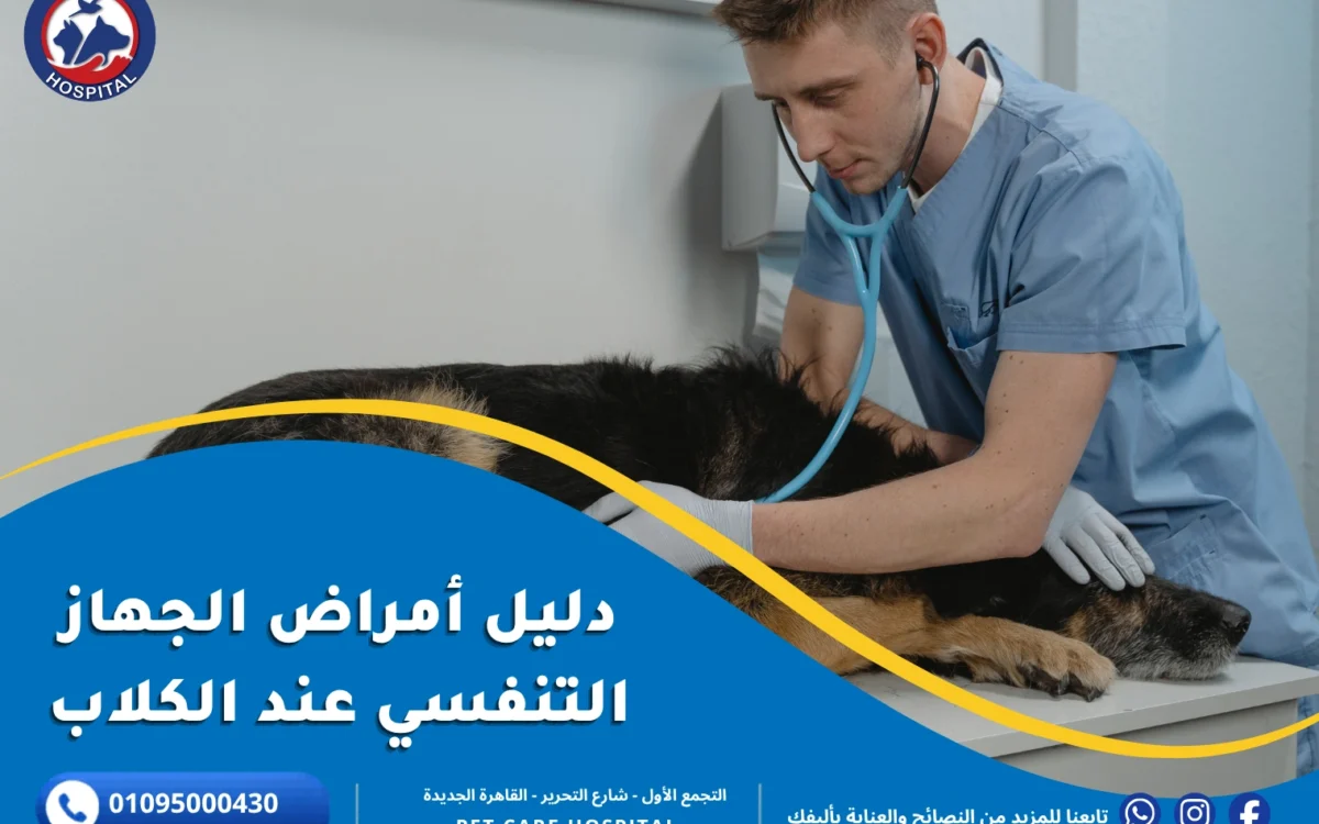 أمراض الجهاز التنفسي عند الكلاب