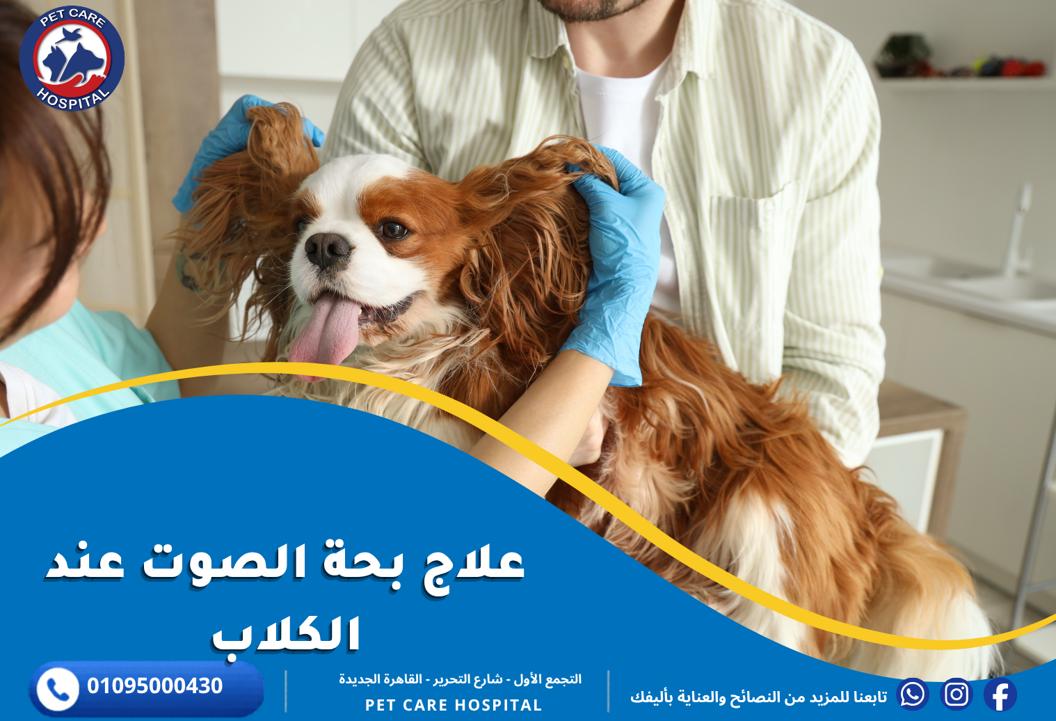 علاج بحة الصوت عند الكلاب