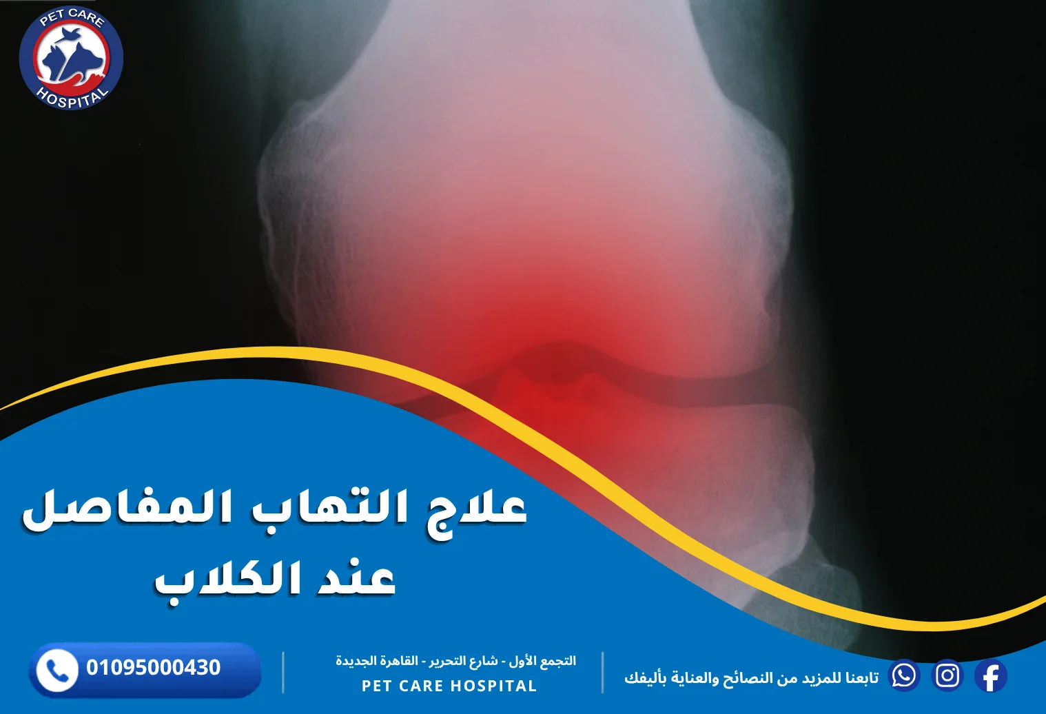 علاج التهاب المفاصل عند الكلاب